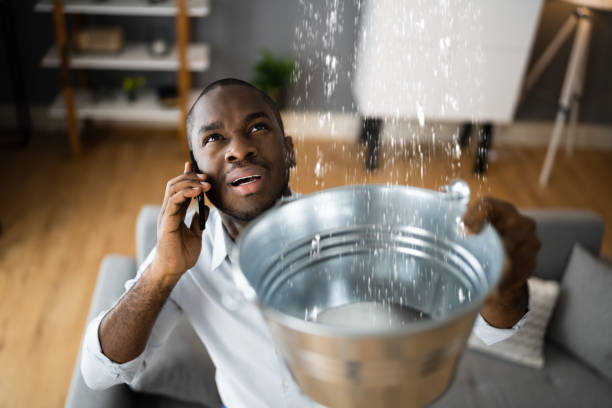 Best Water damage restoration process  in Woodbury Heights, NJ
