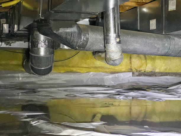 Best Mold removal after water damage  in Woodbury Heights, NJ