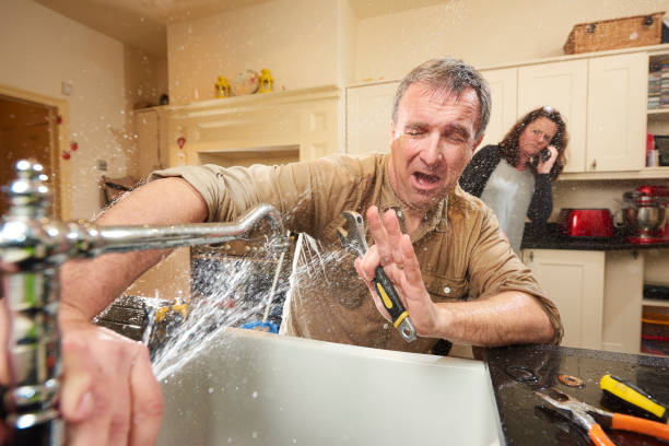 Best Flooded house restoration  in Woodbury Heights, NJ